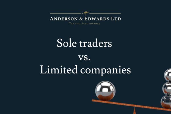 Sole trader or limited company? You decide.